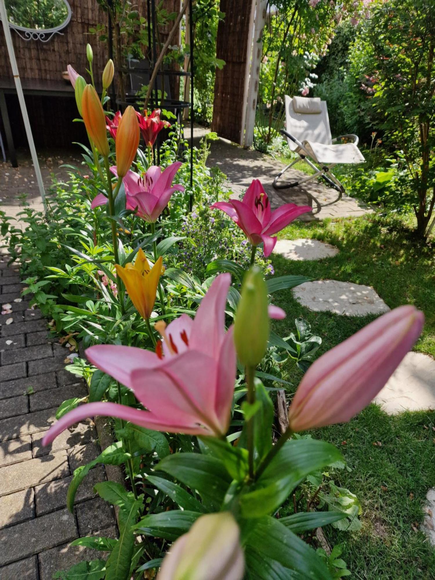 Ferienwohnung Domschatz Naumburg  Exterior foto